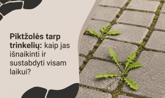 Piktžolės tarp trinkelių: kaip jas išnaikinti ir sustabdyti visam laikui?
