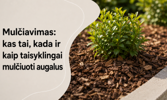Mulčiavimas: kas tai, kada ir kaip taisyklingai mulčiuoti augalus