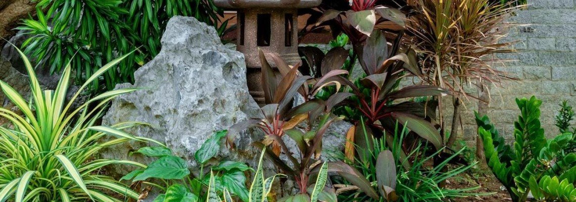 Alpinariumas: kaip įsirengti nuo nulio, tinkami augalai ir dizaino idėjos