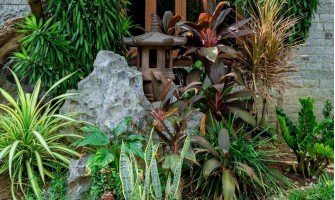 Alpinariumas: kaip įsirengti nuo nulio, tinkami augalai ir dizaino idėjos