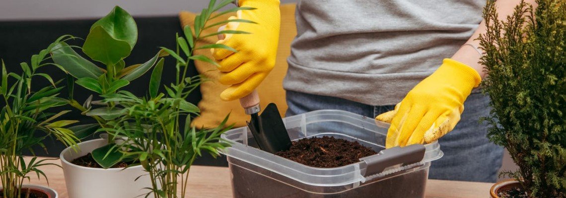 Drenažas augalams: kas tai, kokias medžiagas rinktis ir kaip teisingai sudaryti