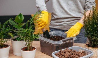 Drenažas augalams: kas tai, kokias medžiagas rinktis ir kaip teisingai sudaryti